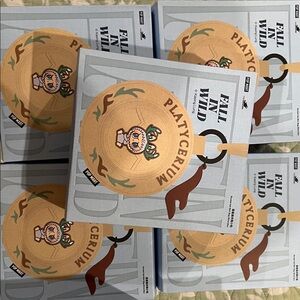 Cute Platypus Keychain Set